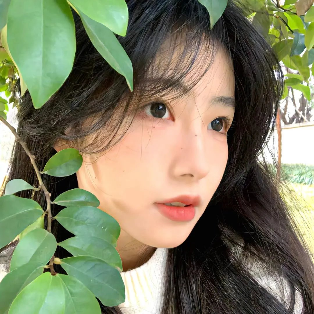 天生爱情狂